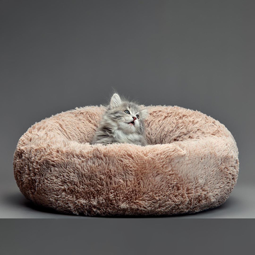 Pet Beds